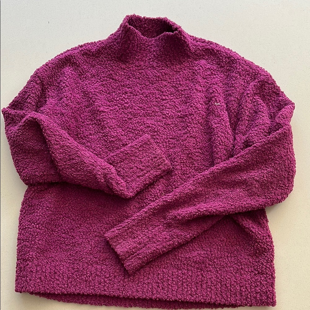 Sanctuary sweater